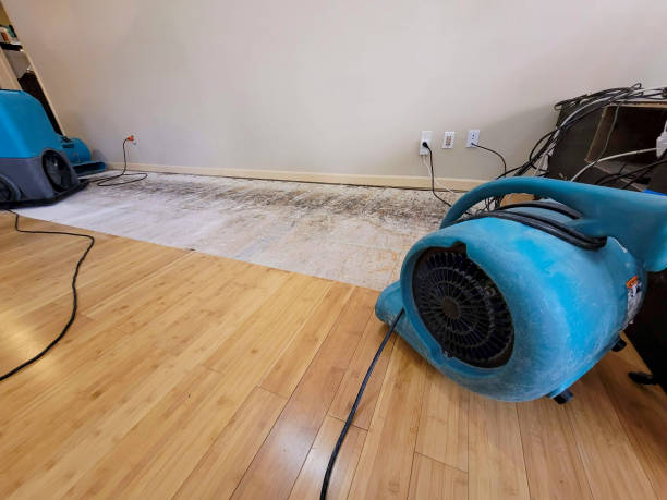 Professional Structural Drying technician working in Whitesburg, KY